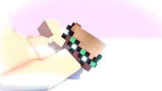 Minecraft Porn: Big Cock Insertion #3