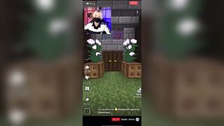 Minecraft Porn: TikTok #2