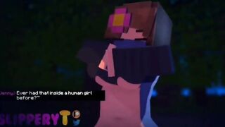 Minecraft Porn: Minecraft jenny Breasts #3