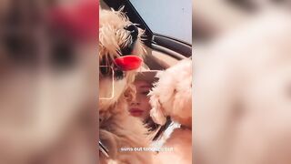 Natalie Alyn Lind: With the puppers. #4