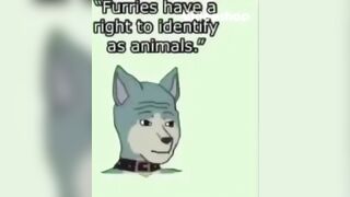 Furry bad