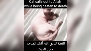 NOOO ALLAH #3