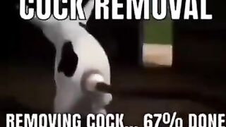 Cock removal