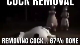 Cock removal #3