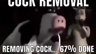 Cock removal #4