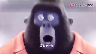 Funny Monkey #4