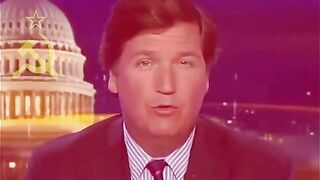 based tucker #4