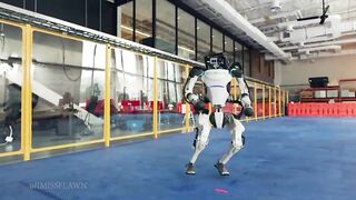 WAP syncs perfectly with those dancing robots #2