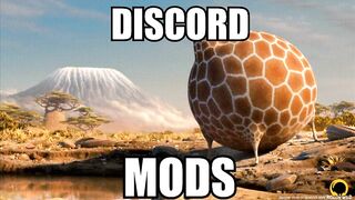 discord mods