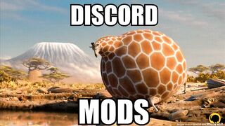 discord mods #2