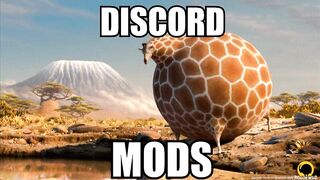 discord mods #4