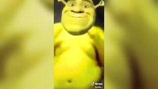 Shreksi #2