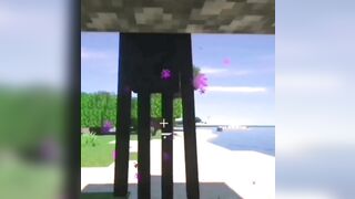 Endermen #3