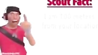 Scout fact #1