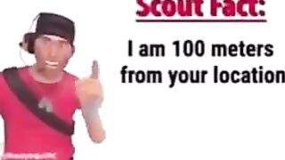 Scout fact #3