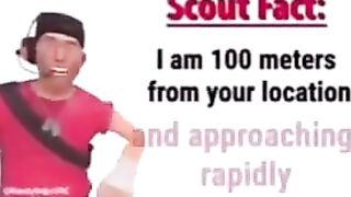 Scout fact #4