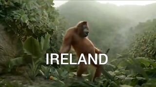 Ireland #3