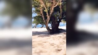 Friends Just Bouncing On The Beach...oh And One Of Them Shoves A Buttplug In Her Ass